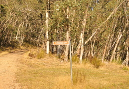DSC 0831