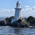 Tasmania 16