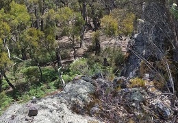 Strathbogie 02