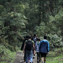 2019-09 Baw Baw Waterfalls
