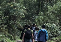 2019-09 Baw Baw Waterfalls