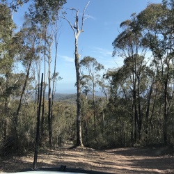 2019-09 Mitchell River National Park