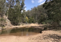 Mitchell River 03