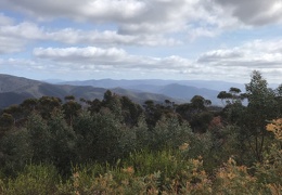 Mitchell River National Park September 2019