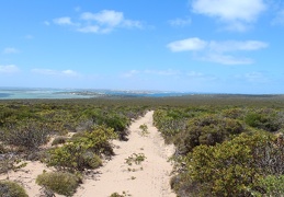 Eyre Peninsula 06