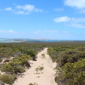Eyre Peninsula 06