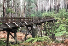 Marysville 11