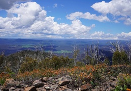 Snowy River 07